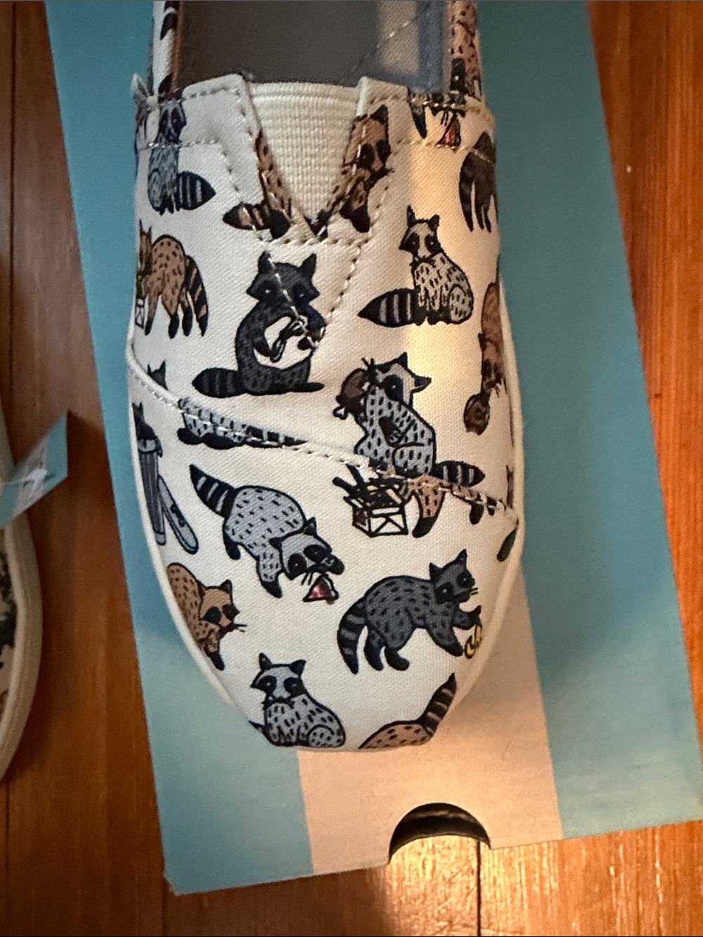 Toms Kids White Canvas Slip-On Shoes with Black and Brown Raccoon Print - Picture 5 of 6
